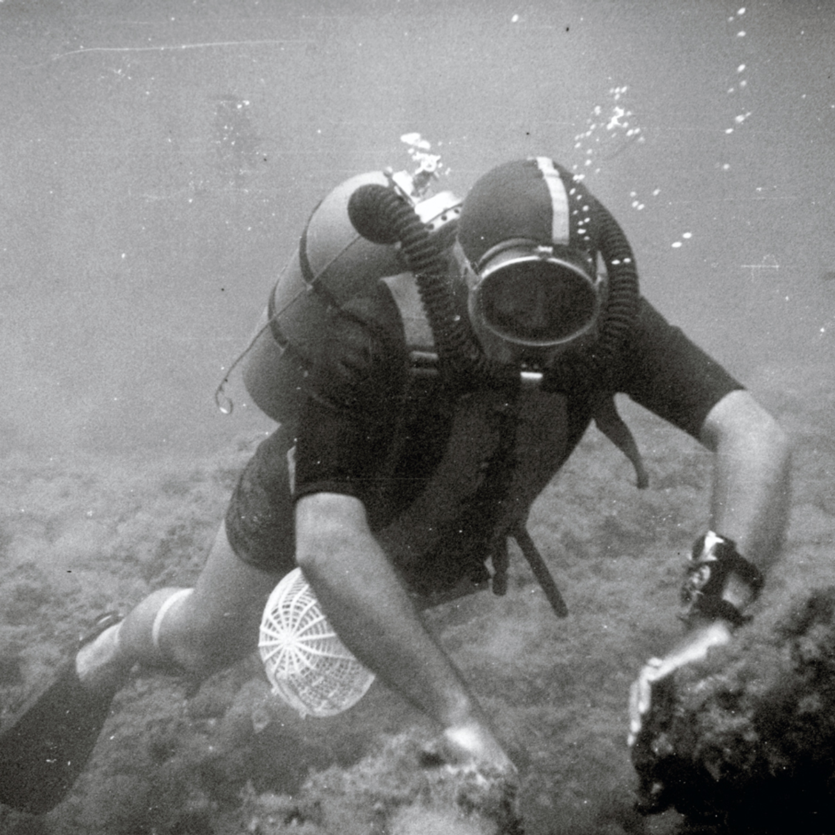M. Fiechter (PDG de Blancpain, 1950-1980) lors de l'une de ses premières plongées dans le sud de la France  ©Blancpain