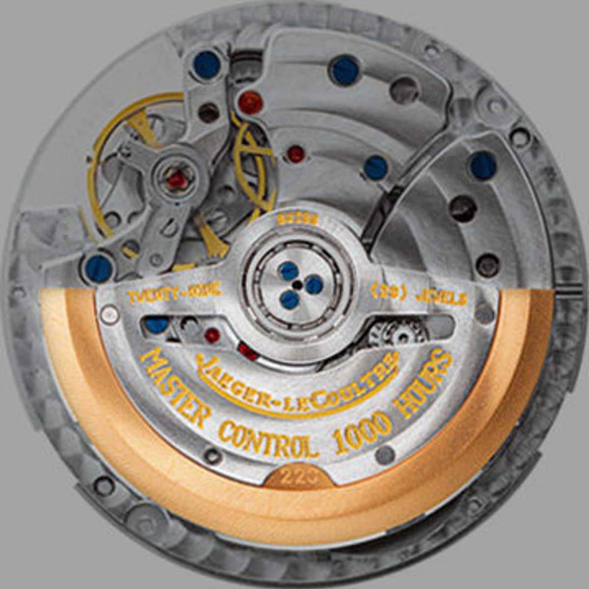 Weight Relieved Rotor Disc Oscillating weight (Rotor)