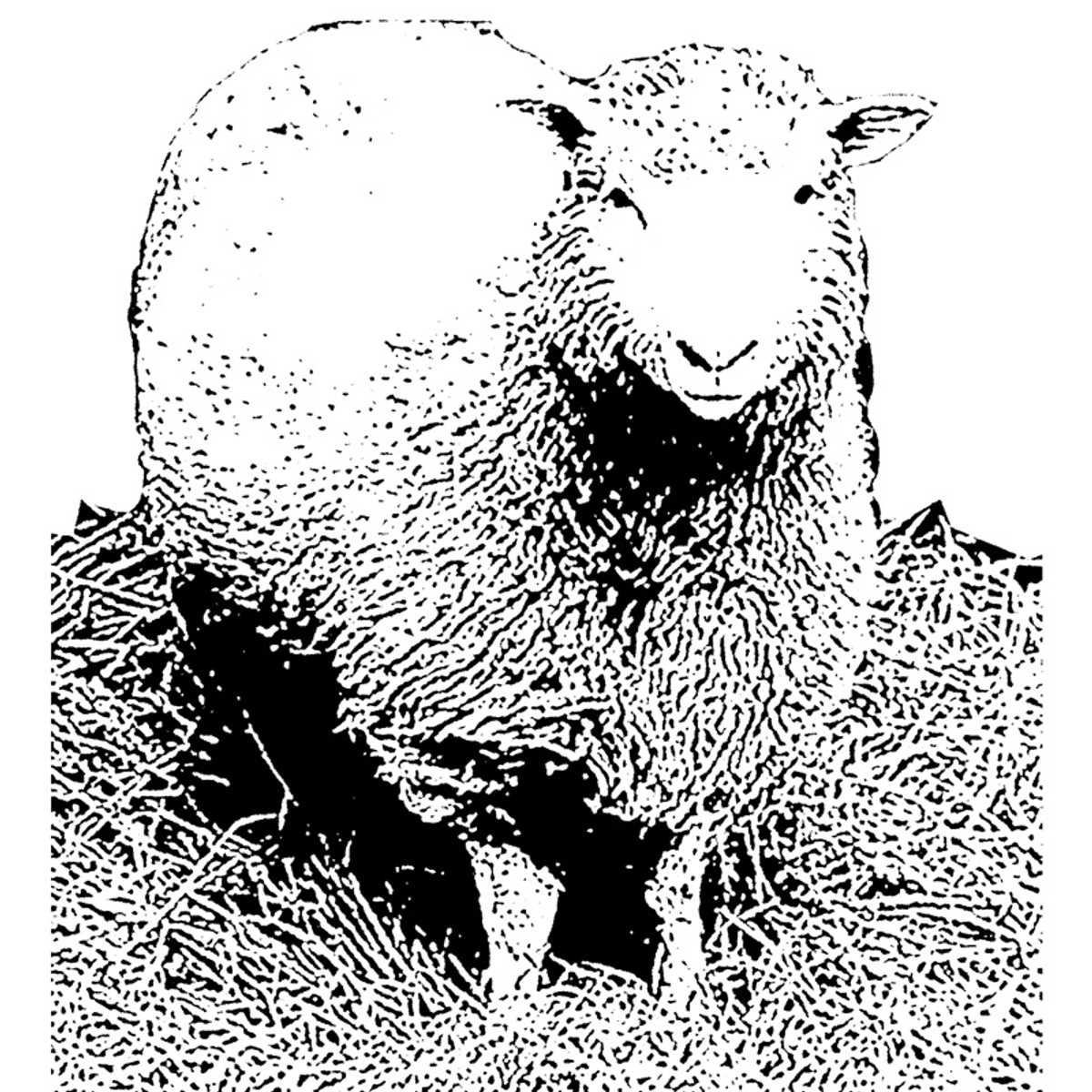 1997, Dolly, premier mouton cloné