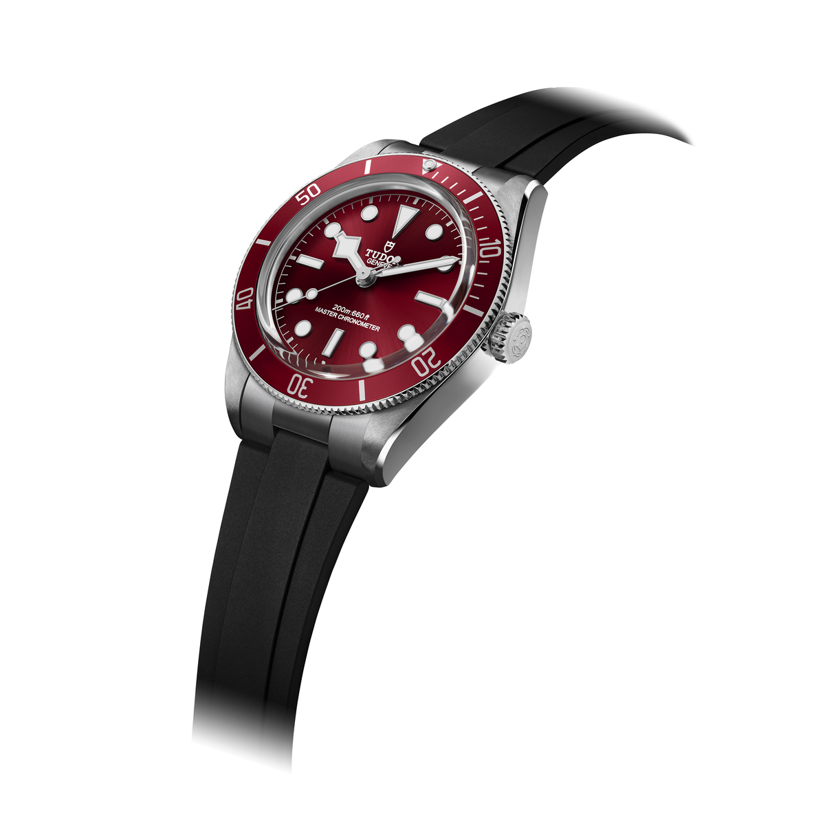 Novelties 2025 Tudor Black Bay 58_3