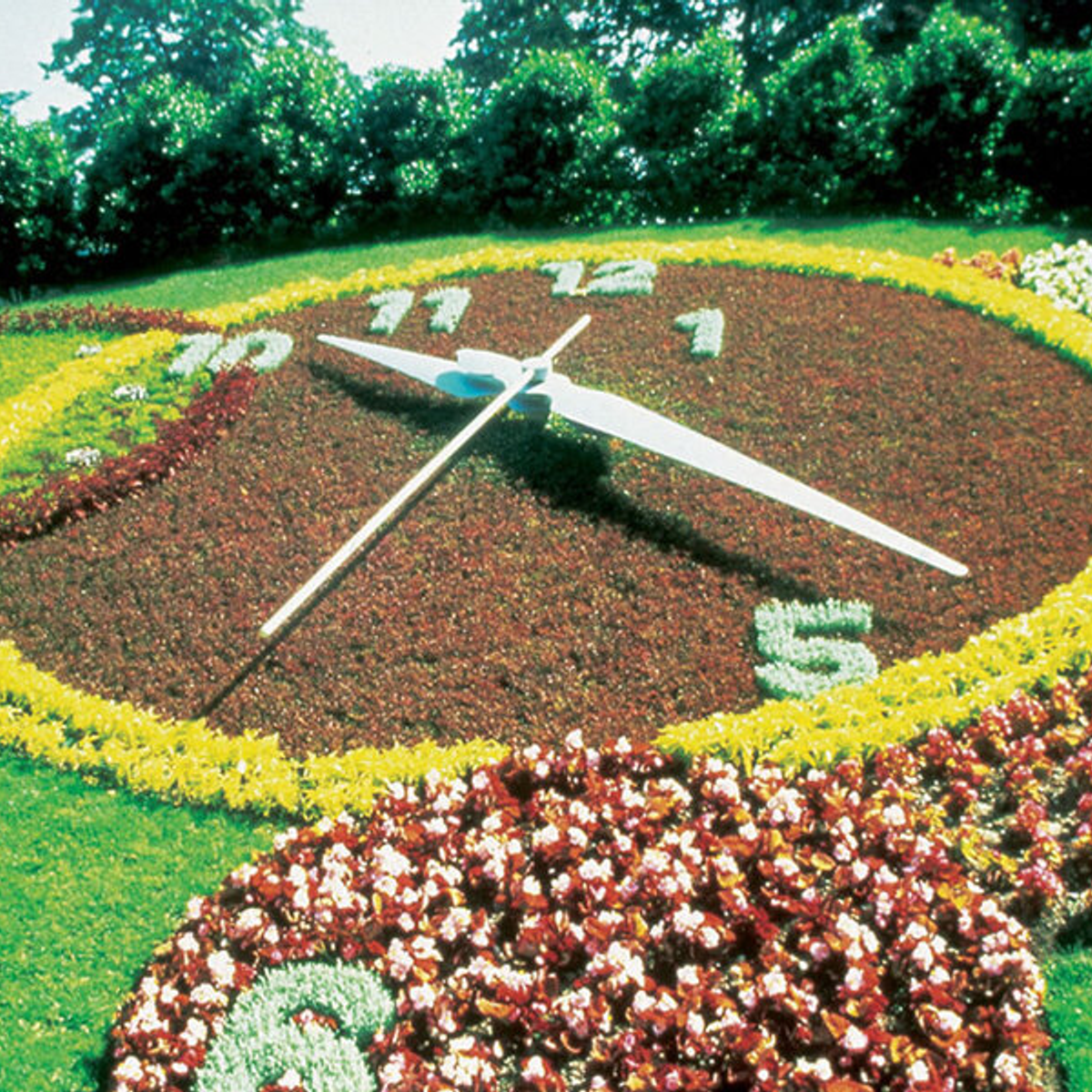 Horloge fleurie de Genève, © Michel Blanc