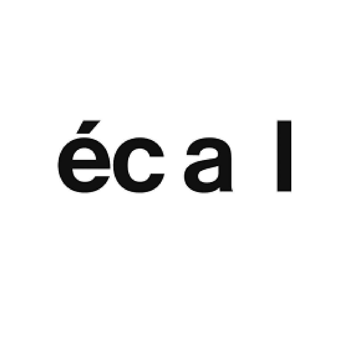 Logo_ECAL