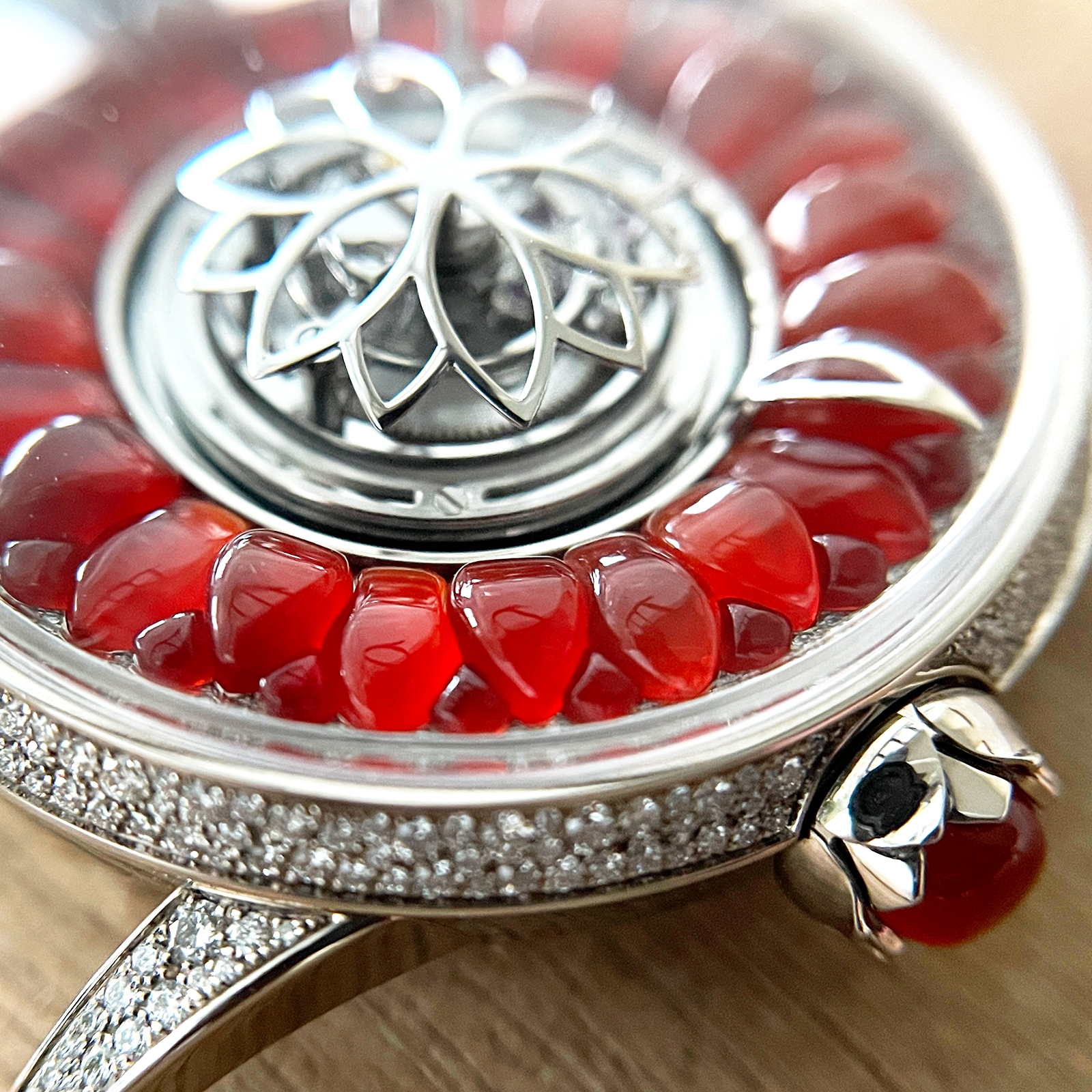 Dahlia Fire Opal