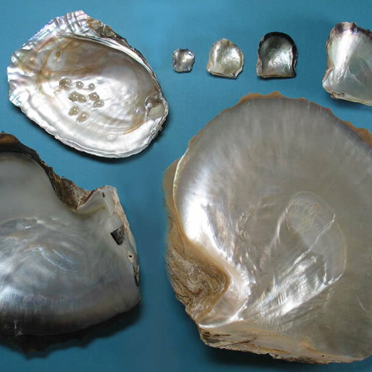 Mother-of-pearl