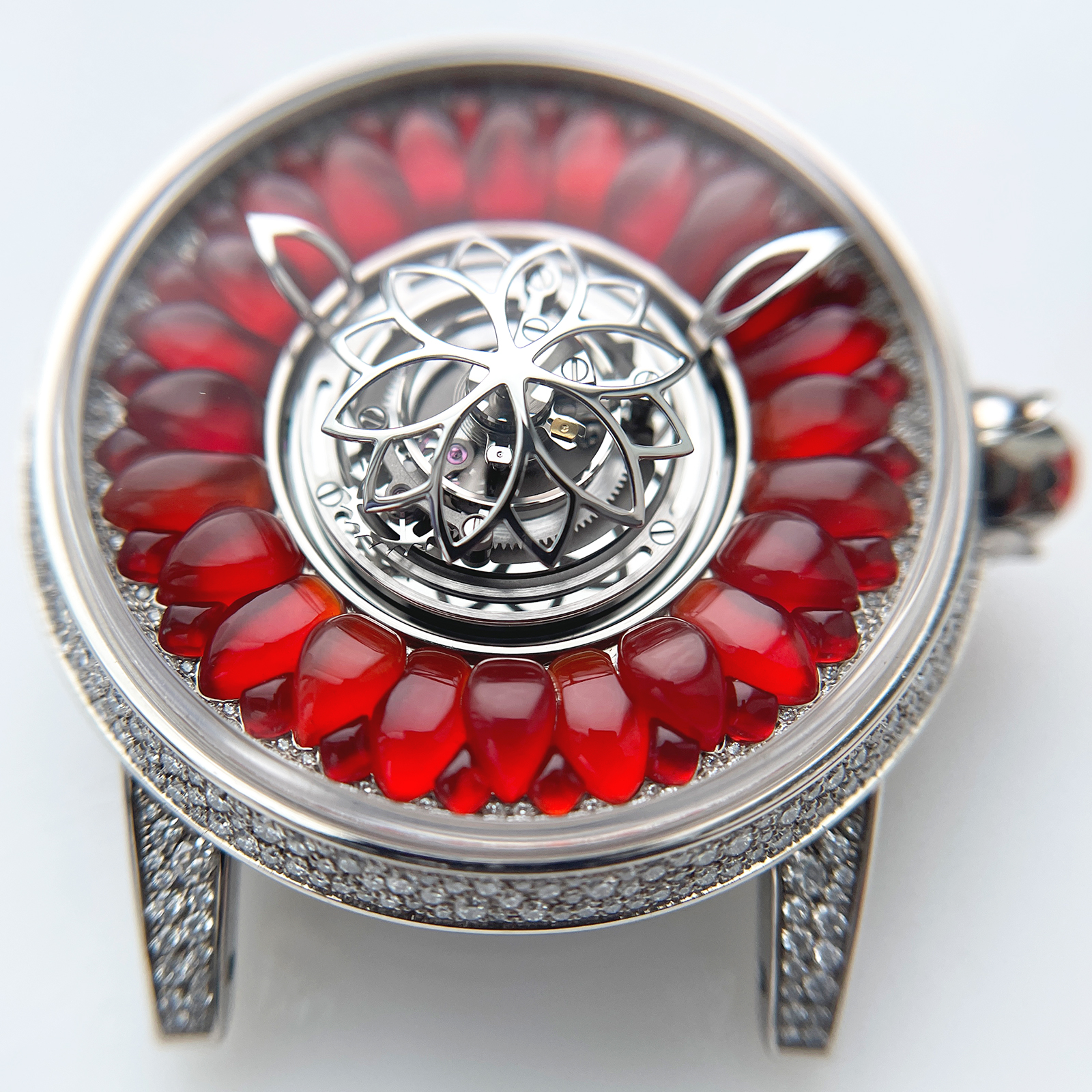 Dahlia Fire Opal