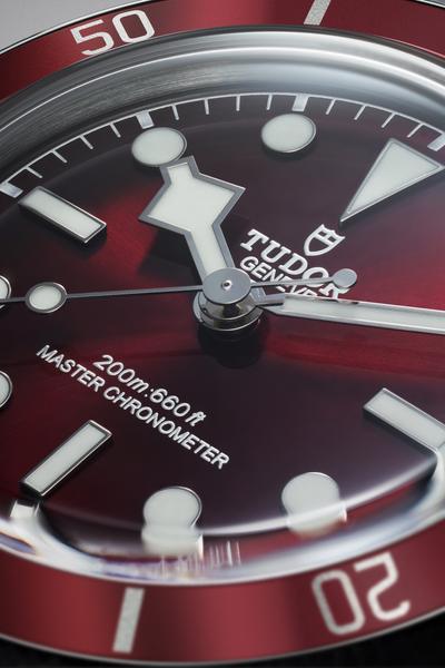 Novelties 2025 Tudor Black Bay 58_2