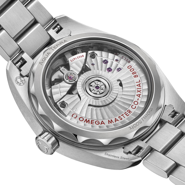 Seamaster Aqua Terra Master Chronometer